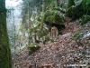 Jura - 13.04.12