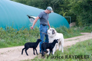 P. Jouvenceau avec Cairn - raydelet - 38